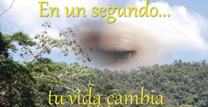 9788491121510_COVER_v2.indd